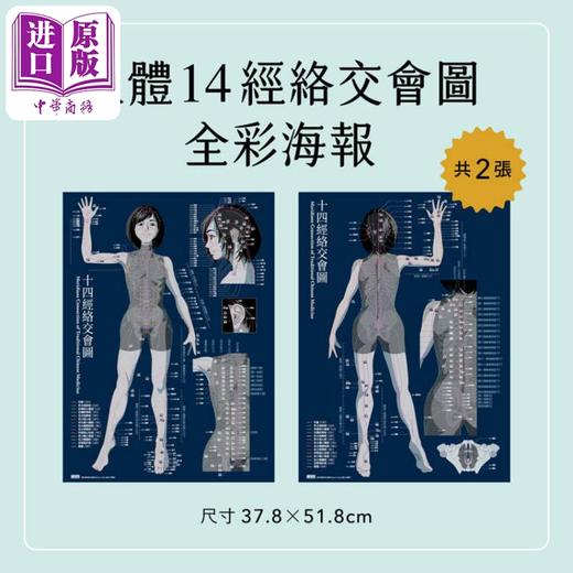 【中商原版】经络与解剖学全图典 赠送2张人体经络交会图全彩海报 港台原版 吉田启 三采文化 商品图2