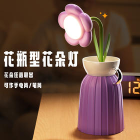 【花插花抽灯，笔筒玫瑰盆】一盏小灯，卧室氛围温馨。花朵可作手电筒，花瓶可作笔筒，小身材大能量，充插两用，续航持久。摆上这盏玫瑰灯，氛围感满满，把爱情洒满整个房间！