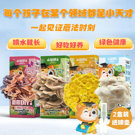山猫博士DIY可食用蘑菇种植盒 商品图6
