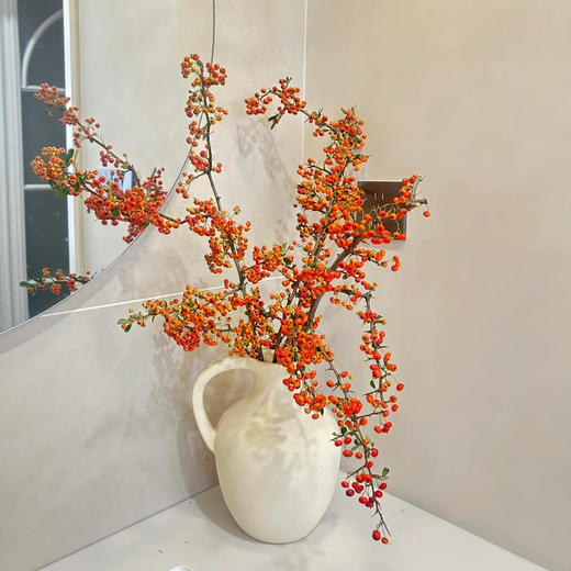 【AB级火把果】一扎约2-3支/份 长约60-65cm（颜色自选） 商品图2