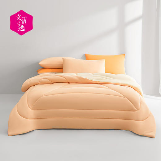 【文怡之选】绘睡 蚕丝抱抱被Pro版 四季款&冬款 柔软亲肤 温暖蓬松 吸湿透气 商品图1