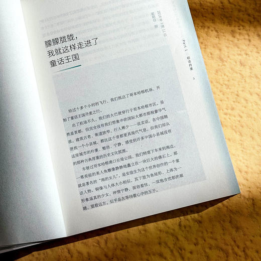 教育的100种语言 丹麦教育见闻 第二版 大夏书系 李镇西 商品图8