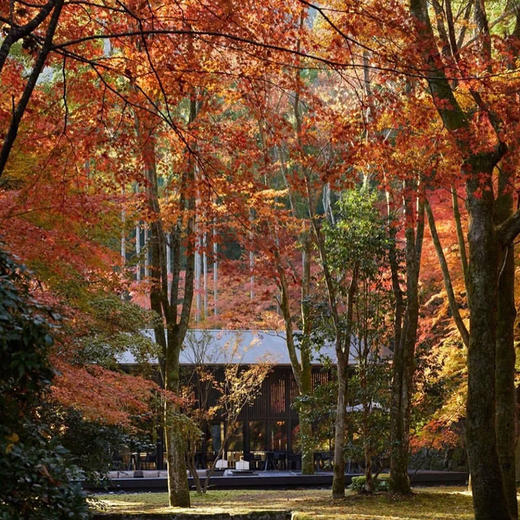 〖特价房有限·先拍后约〗【日本】Aman Kyoto | 安缦京都·隐秘森林中的禅意天堂（特价房数量有限，请详询客服查房态） 商品图9