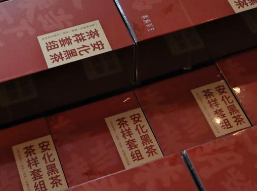「安化黑茶」茶样合集 一盒涵盖湘尖、砖茶、花卷茶品类  构建安化黑茶品鉴体系 商品图6