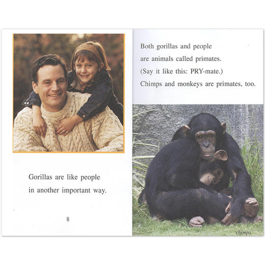 进口英文原版 Amazing 神奇动物系列 6册合售 I can read Level 2 商品图3