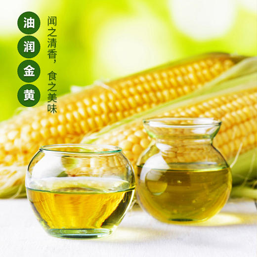 大荒印象一级压榨玉米油1.8L 商品图5