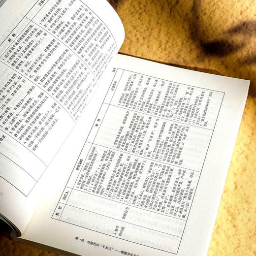 不发火 不说教 也能带好班 小学班主任工作智慧 大夏书系 商品图10