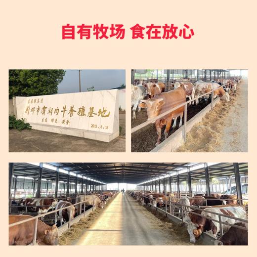 【清真】东南醇公安牛肉火锅（冷鲜牛三鲜） 商品图4