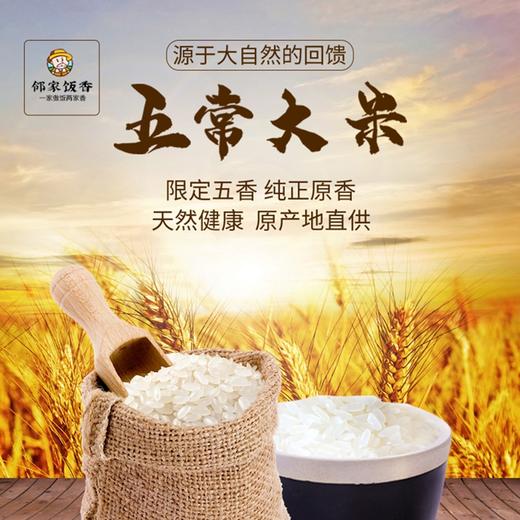 邻家饭香 二级产区五常大米 5kg每袋 真空双层包装  LJFX94 商品图3