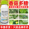 圣鹏速停香菇多糖番茄瓜果病毒病专用杀菌剂抑制病毒抗病正品农用 商品缩略图2