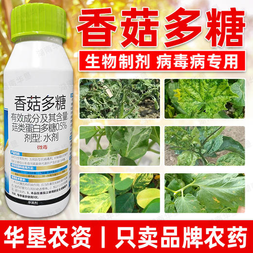 圣鹏速停香菇多糖番茄瓜果病毒病专用杀菌剂抑制病毒抗病正品农用 商品图2