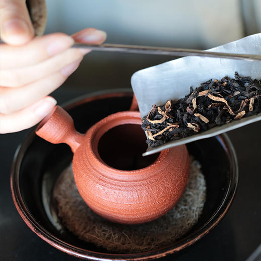 暖冬cp陈皮六堡茶252g 商品图1