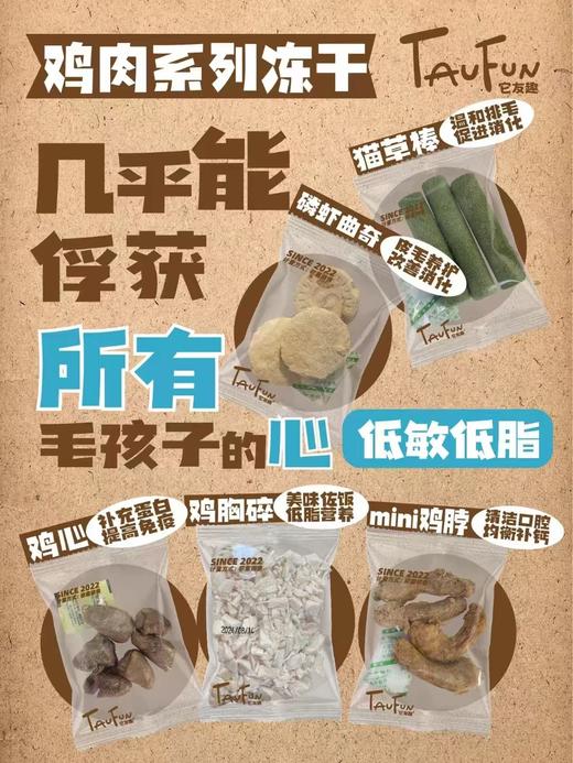 它友趣宠物冻干系列 商品图0