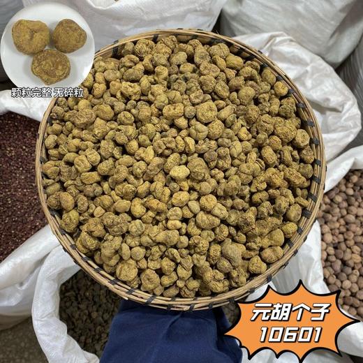 元胡颗粒常用规格 生元胡粒  延胡索 生玄胡 商品图1