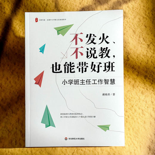 不发火 不说教 也能带好班 小学班主任工作智慧 大夏书系 商品图1