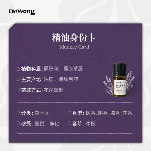 醒目薰衣草 植物香薰精油 商品图2