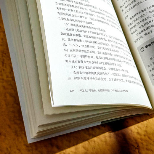 不发火 不说教 也能带好班 小学班主任工作智慧 大夏书系 商品图11