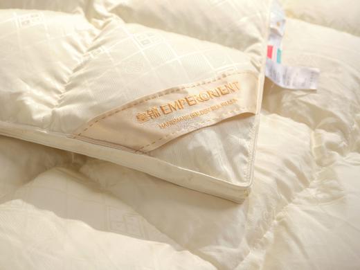 皇锦1200g加厚95绒双人进口匈牙利鹅绒暖冬被芯HJ11696 商品图4