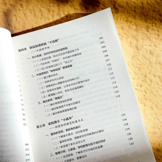 不发火 不说教 也能带好班 小学班主任工作智慧 大夏书系 商品图7