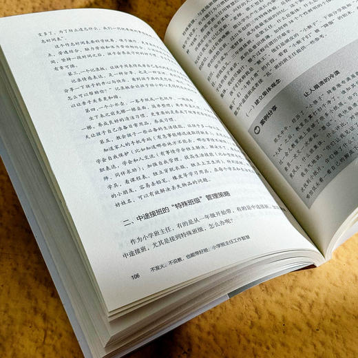 不发火 不说教 也能带好班 小学班主任工作智慧 大夏书系 商品图12