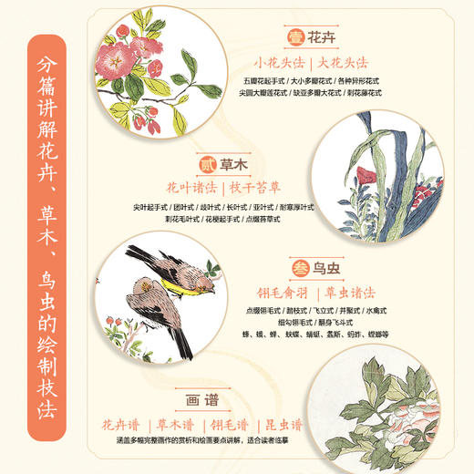 芥子园画传（全彩白话图解版）草虫花鸟 国画*基础入门教程 国画小白自学 白描临摹画画描摹本 商品图2