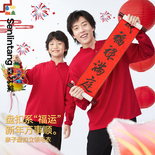 【清仓款】森林棠新年限定主题款新中式盘扣斜襟小立领毛衣80612403 商品图0