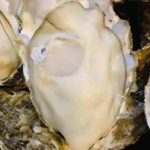 乳山生蚝5斤装顺丰快递包邮下单从山东发货 商品图7