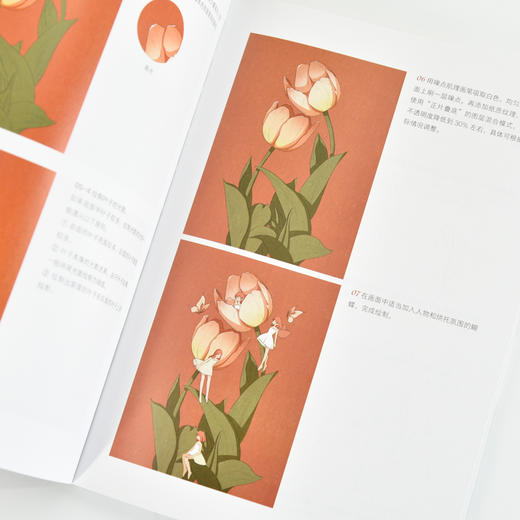 生如夏花 插画创作技法详解 插画师小爷作品插画教程自学*基础入门教程书籍 动物植物色彩光影门店装饰主题 商品图3