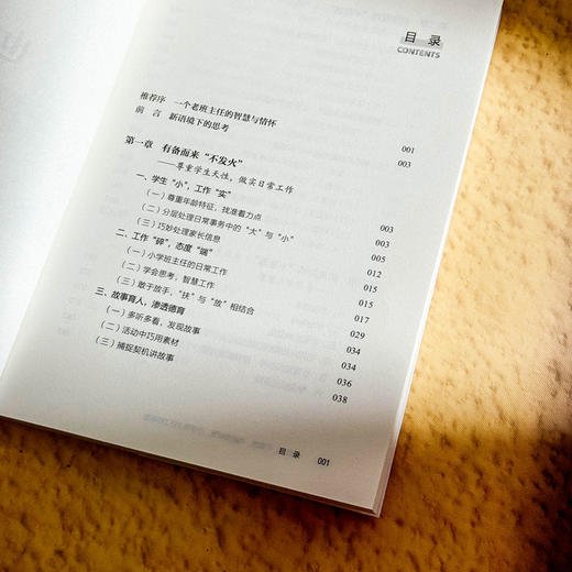 不发火 不说教 也能带好班 小学班主任工作智慧 大夏书系 商品图6