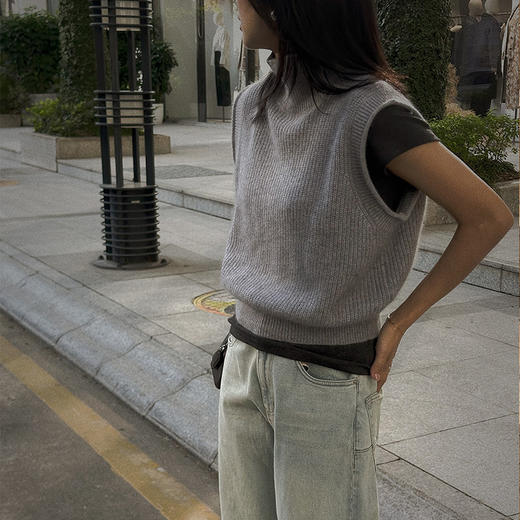 【顺丰包邮】00455 洛诗琳秋冬浣熊绒高领叠穿套头针织马甲女803 商品图3