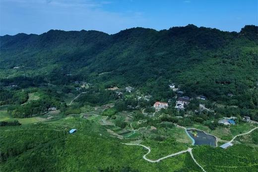 【邛崃-388号院】9房温泉私汤院子，近平乐古镇丨南宝山下，临溪耍水、K歌投影、看萤火虫、茶园、徒步道、观景露台，特色小院yjyz 商品图2