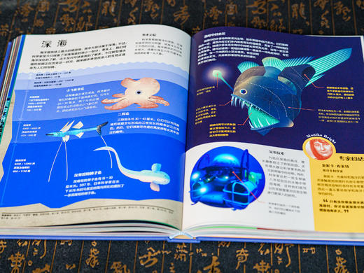 【让孩子真正开眼界涨知识】《大英儿童百科全书》｜权威专家编写，8大领域，3000+知识点 商品图7