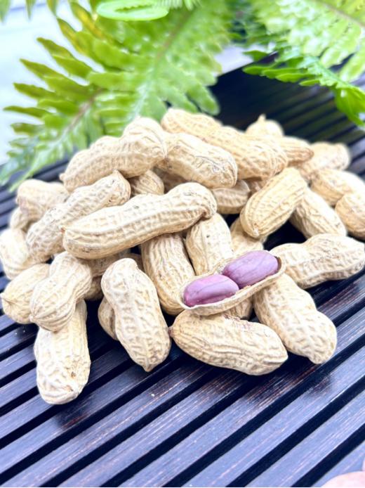 🌟【爆卖万单的超好吃的龙岩花生】🉐试一把正宗龙岩湿烤花生， 🌸这就是一个卖了🤩五年还一堆人天天复购👏的硬、脆、香花生 商品图4