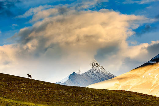 我们的世界叙事：12位中国人访谈录 商品图4