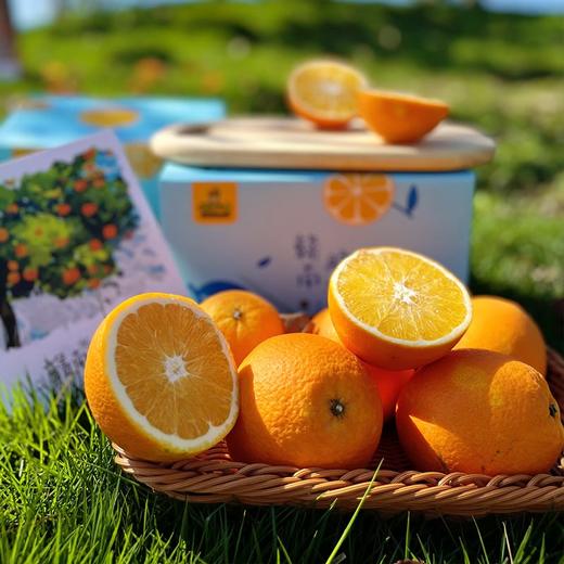 【8折】赣南脐橙 |  4.5斤/9斤 生态种植 9个月自然熟 香气浓郁 果肉甜美 饱满多汁 老树鲜果子 商品图0