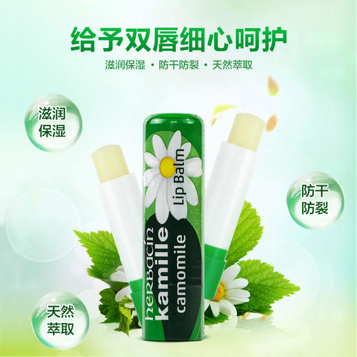 【经典款】德国小甘菊HERBACIN修护唇膏4.8g 商品图3