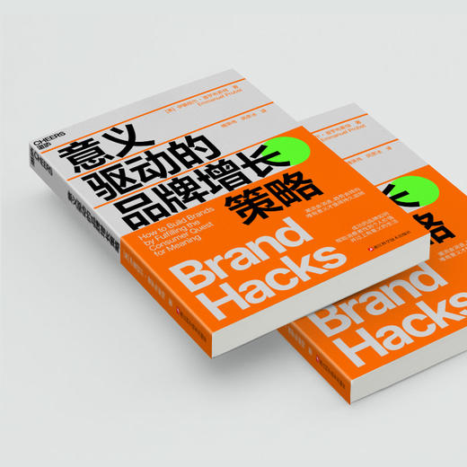 意义驱动的品牌增长策略   唯有意义才值得持久追随 商品图4