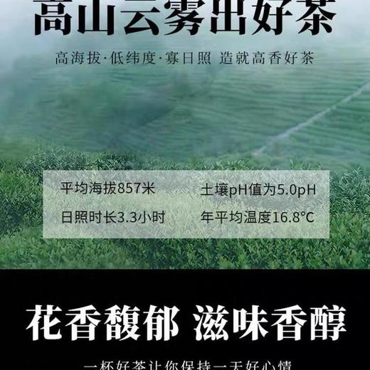 【典雅礼盒 香气独特 口感醇厚】汖茗元 得闲饮茶正山小种礼盒 商品图14