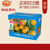 L红江橙（普级）5kg 商品缩略图0