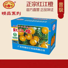 L红江橙（普级）5kg