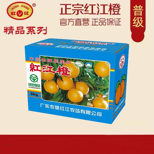 L红江橙（普级）5kg 商品图0