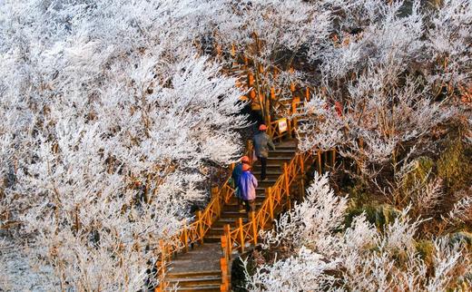 【智行研学】安吉云上草原3日营 | 滑雪+温泉 商品图14