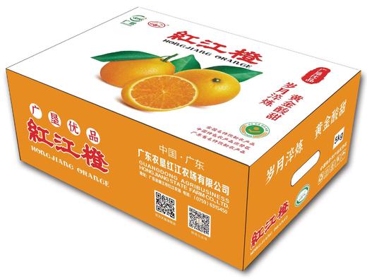L红江橙（优级）5kg 商品图1