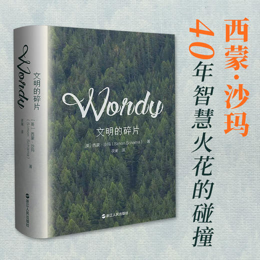 文明的碎片 商品图2