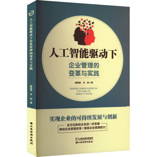 人工智能驱动下企业管理的变革与实践 商品图0