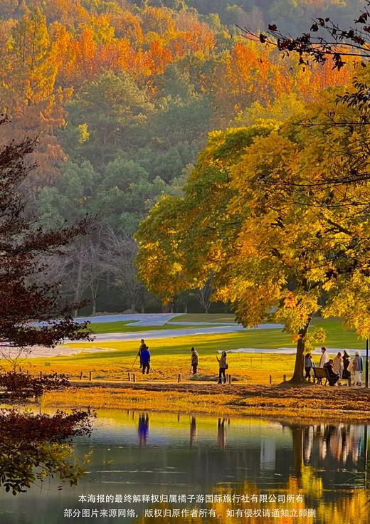 【乐享迪士尼】 上海+苏州+嘉兴+杭州+迪士尼+双水乡 休闲度假5日游 商品图1