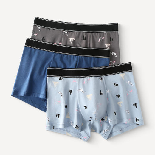 芬腾内裤男士棉质抗菌平角四角裤头舒适加大码青少年潮裤男款短裤 商品图0