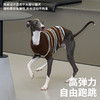 zeze细条纹宠物针织毛衣-B 商品缩略图3