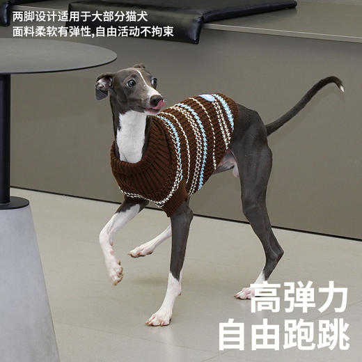 zeze细条纹宠物针织毛衣-B 商品图3