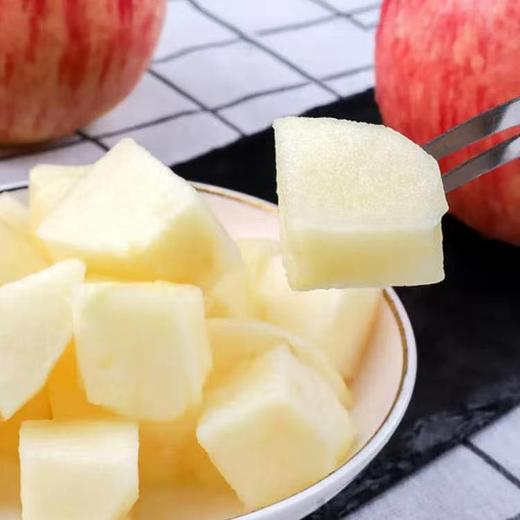 洛川苹果85-90果9枚5斤【分仓直发，72小时发货，周末节假日不发货】 商品图2